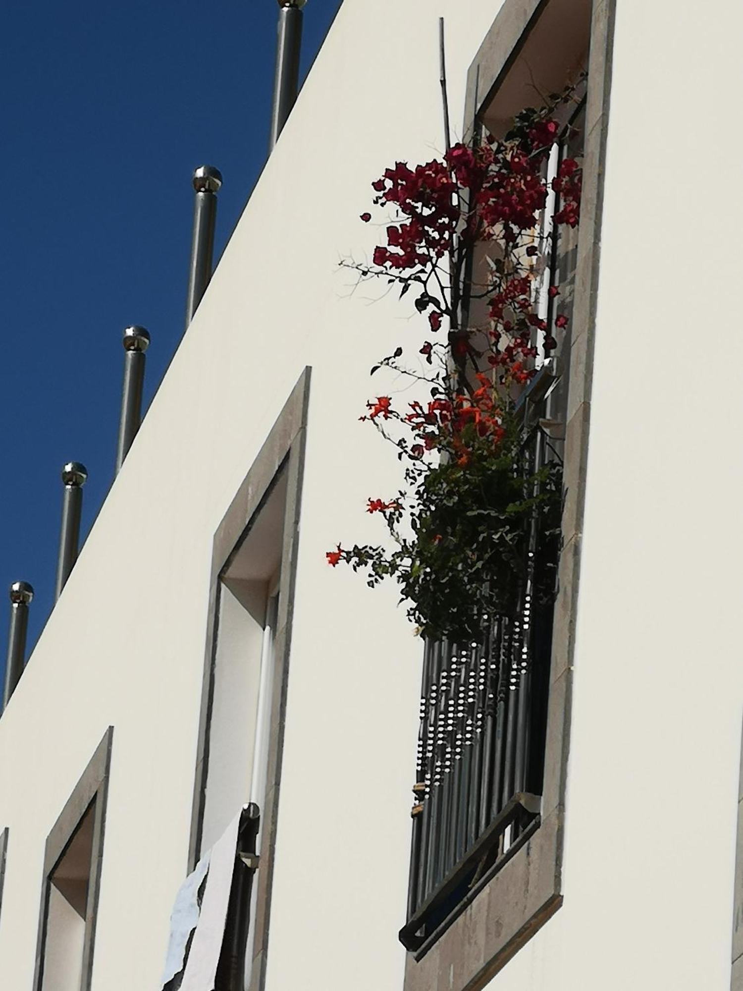 Apartamento Puerto De Mogan Sonneland Exterior foto